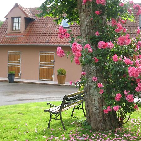 Hotel Du Moulin Aux Draps Desvres Eksteriør bilde